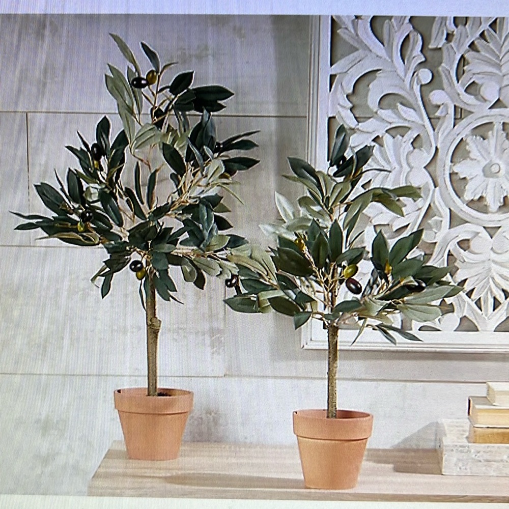One Faux Olive Tree in Terracotta Pot by Valerie. Only one. Used as a display